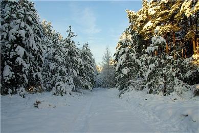 三月美国主机Xbox销售额最高 游戏《艾尔登法环》最畅销