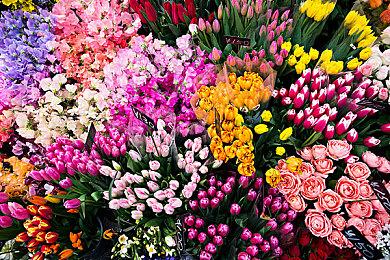 据报道：黑曜石奇幻RPG《宣誓》拥有至少10位叙事设计师