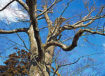 育碧：《纪元1800》于今日返回Steam平台